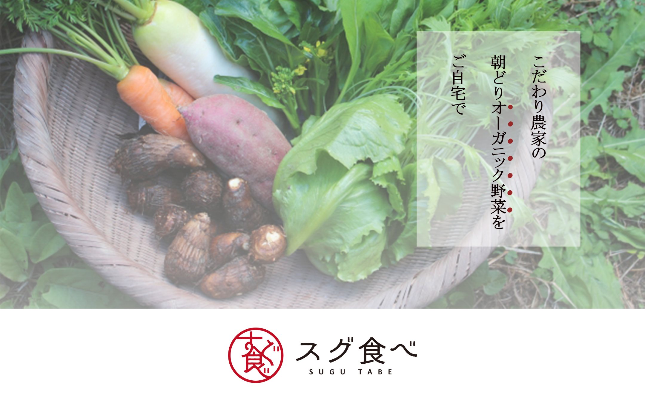 こだわり農家のオーガニック野菜をご自宅で