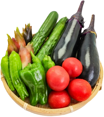 旬＊お試し野菜セット（6品目）